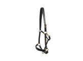 Licol cuir - doublee  avec plaquette CS choco