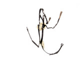 Bricole Eventing / 5-points - FS noir