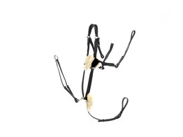Bricole Eventing / 5-points