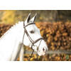 Bridon  New Pro  - boucles laiton - boucles laiton Full noir