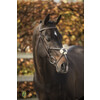 Bridon  New Pro  muserolle mexicain - renes caoutchouc - boucles inox - - boucle