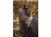 Bridon  New Pro  muserolle mexicain - renes caoutchouc - boucles inox - - boucle