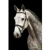 Bridle  New Pro   flash noseband - rubber grip reins - ss buckles - - ss buckles