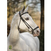 Bridon  New Pro  avec mus. allemandes - boucles inox - renes toile - - boucles i