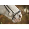 Bridon  New Pro  avec mus. allemandes - boucles inox - renes toile - - boucles i