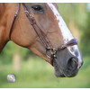 Pro Selected Lage Neusriem - CS austrailian nut