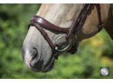 PRIMUS anatomical English noseband
