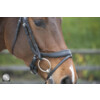 PRIMUS anatomical English noseband