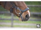 POLIDOR anatomische Duitse neusriem - FS australian nut