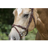 FILUMA round stitched noseband - FS black