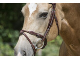 FILUMA round stitched noseband - FS black