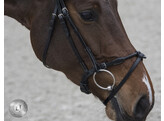 FILUMA round stitched noseband - FS black