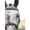 Bridon LONDON ANATOMIC muserolle combinee - CS austrailian nut