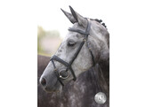 Bridon LONDON ANATOMIC muserolle combinee - CS austrailian nut