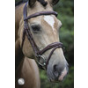 Bridle LEGACY flash noseband - FS black