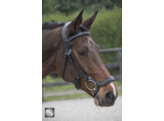 Hoofdstel LEGACY / POLIDOR - CS austrailian nut