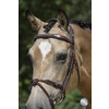 Bridle LEGACY / FILUMA - CS austrailian nut