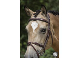 Bridle LEGACY / FILUMA - CS austrailian nut