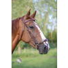 Bridon FANCY muserolle Hannovrien - CS noir