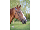 Bridon FANCY muserolle Hannovrien - CS noir