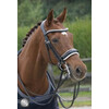 SUPERIOR PATENT Weymouth double bridle - CS black