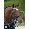 SUPERIOR PATENT Weymouth double bridle - CS black