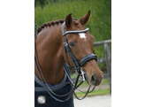SUPERIOR PATENT Weymouth double bridle - CS black