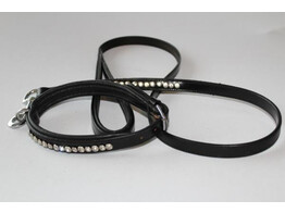 Dog collar and leash  Stones 
