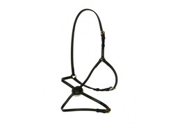 Muserolle mexicain  boucles dore