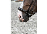 Drop noseband  chrome buckles - PS black