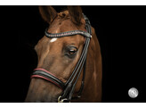 SYANA double bridle round leather