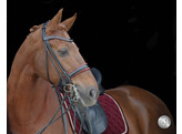 SYANA double bridle round leather
