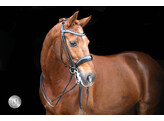 SORAYA double bridle round leather - CS black