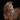 Bridle  Diamond  flash noseband - Cob nut brown