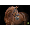 Bridon ROSE - boucles rose dore - CS choco