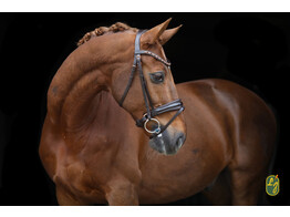 Bridon ROSE - boucles rose dore