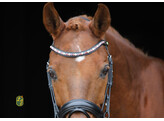 Hoofdstel BROWNIE - antislip teugels - CS choco