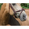 Pro Selected Bridon LEGEND / PRIMUS - CS austrailian nut