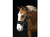 Licol Nylon avec mouton - Marron Full