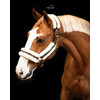 Licol Nylon avec mouton - Marron Full