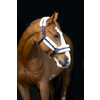 Nylon halter with sheepskin - Navy Cob