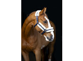 Nylon halter with sheepskin - Navy Cob