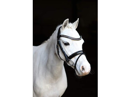 Bridle PINK DREAM