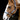 Halter Pearl Galaxy Blue - FS nut brown