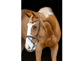 Bridle CLASSIC TOUCH - XFS nut brown