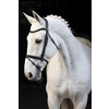 Bridle CLASSIC TOUCH - XFS nut brown