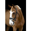 Bridle GOLDEN ROCK - Pony dark brown