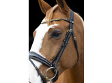 Bridle GOLDEN ROCK - Pony dark brown