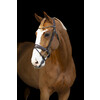 Bridle GOLDEN ROCK - Pony dark brown