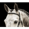 Bridle  New Pro   flash noseband - rubber grip reins - ss buckles - - ss buckles